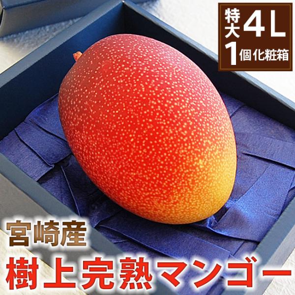 特大4Lサイズ 宮崎産樹上完熟マンゴー特大【 秀品 】1個 (贈答用化粧箱入り) お祝 お礼 誕生日 内祝 プレゼント