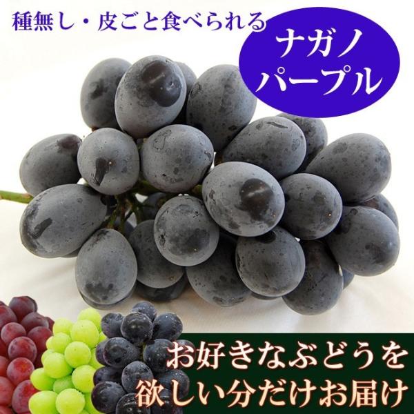 ナガノパープル 1房 秀品 ネットで ぶどう狩り ぶどう ブドウ フルーツ 果物 お取り寄せ プレゼント 贈り物 ギフト
