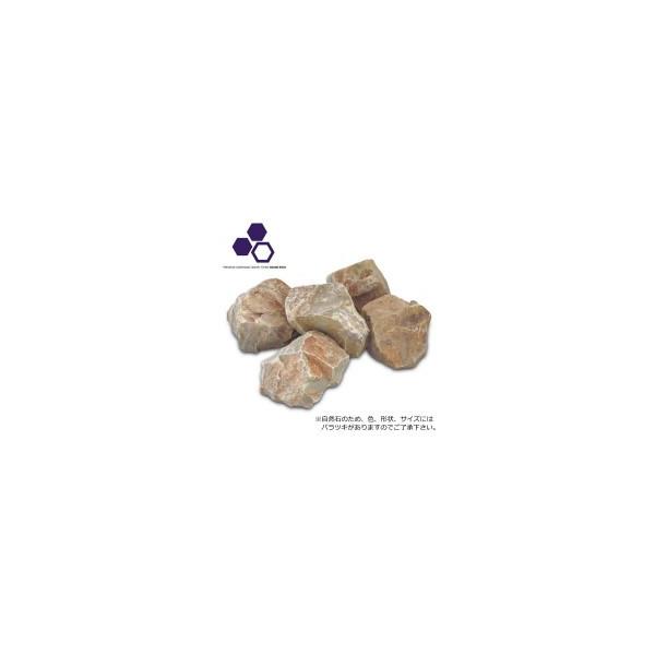 NXstyle�@�K�[�f�j���O�p�V�R�΁@�O�����h���b�N ���b�N�u���E�� C-BR10�@��100kg�@9900633