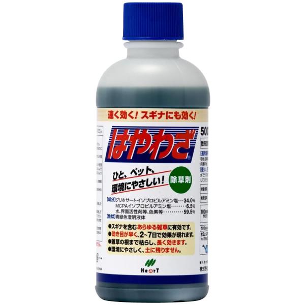 ���i�摜
