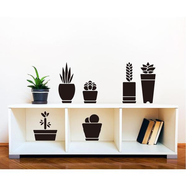 東京ステッカー ウォールステッカー 転写式 多肉植物 ブラック Mサイズ 販売期間 限定のお得なタイムセール Ts 0024 Fm