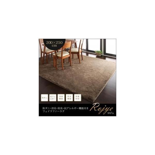 ���O�}�b�g 200×250cm�kRojye�l�x�[�W�� �h�_�j�E���L�E�h���E�R�A�����M�[�@�\�t���t�F�C�N�t�@�[���O�kRojye�l���W�F�k����s�l