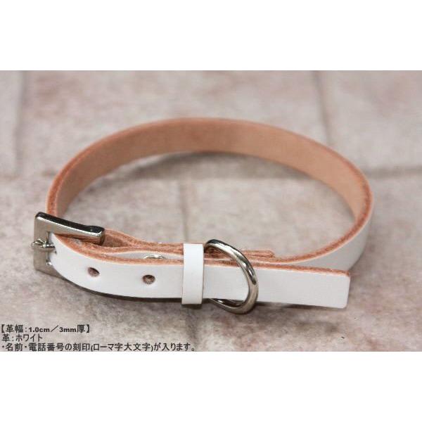 犬首輪革名前入りカラフル本牛革首輪超小型 小型犬用首輪犬用首輪本革無料刻印かわいい猫用首輪迷子札 Buyee Buyee 提供一站式最全面最專業現地yahoo Japan拍賣代bid代拍代購服務