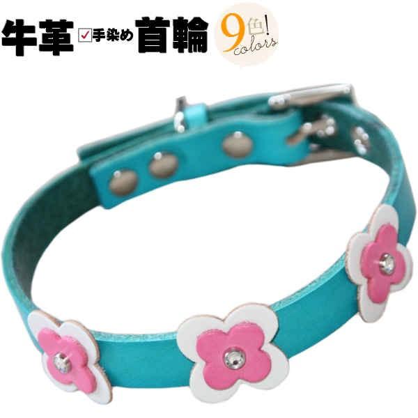   ̎ v {v Rr HTM ^  v 1.5cm y  킢  t[ n[g p[c U[  v т Mtg v[g