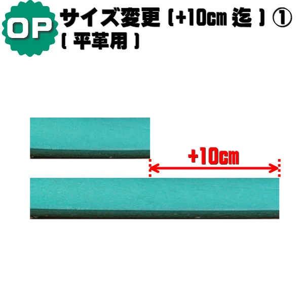 TCYύXIvV+10cm܂(vp) IvVƂȂ܂̂ŁAցA[hA2[ĥꂩ̓wKvł