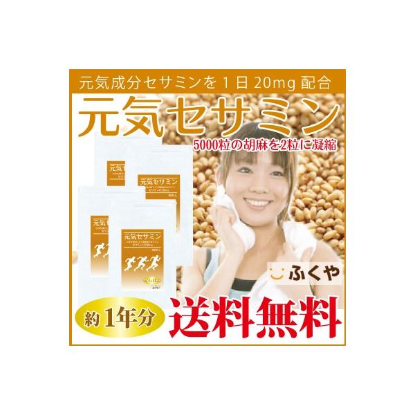 S} ZT~ Ӗ 12E180×4 ZT~z 20mg Tvg S}5000̃ZT~Zk Z[