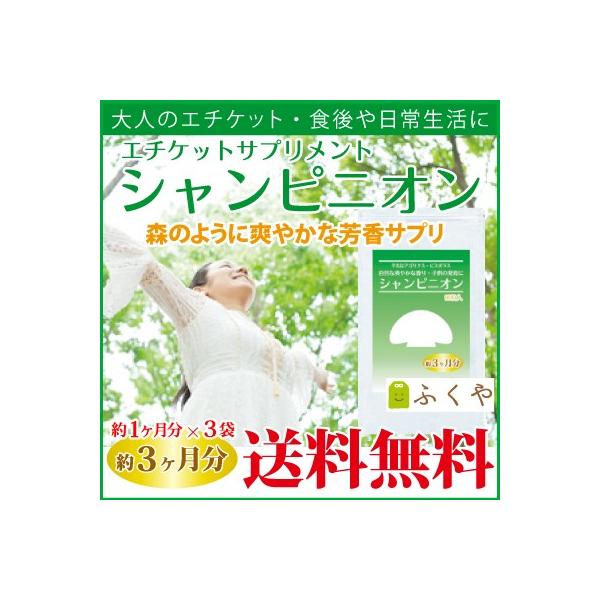 VsjITv 3E30×3  G`PbgTv VsjIGLX Z[ SALE