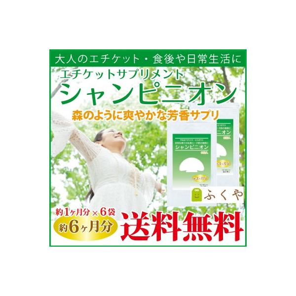 VsjITv 6E30×6  LTv VsjIGLX Z[ SALE