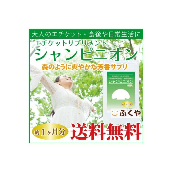 tF Tvg 1E30 tF Tv VsjI VsjIGLX L/̏L/L\hEL΍ Z[