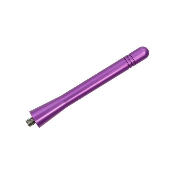 【並行輸入品】アンテナ アウディ S6 アバント (1995-2003) AntennaMastsRus 4インチ