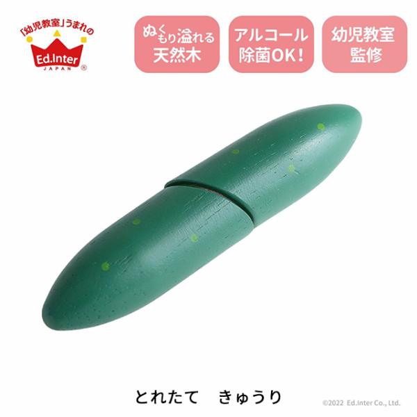 野菜が好きになる、木のままごとあそび。楽しく食育。とれたてきゅうり。セット内容：本体×1。対象年齢：3歳〜 (あくまでも目安です。実際は個人差が多少ございます)※アルコール除菌可能。■商品サイズ(約)W2.6×D2.6×H12cm■商品重量...