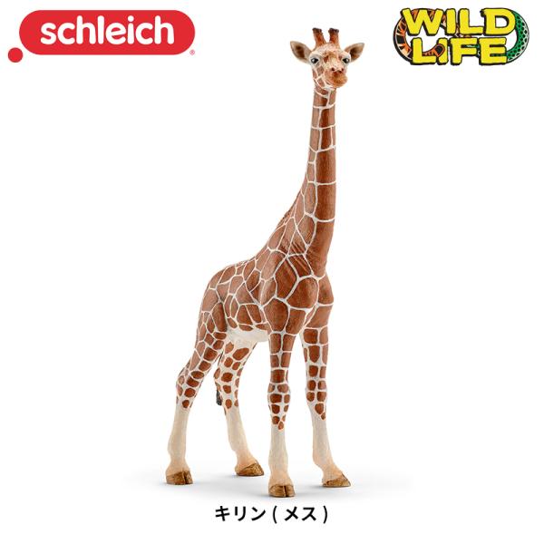 キリン メス 動物フィギュア Wild Life 14750 Schleich シュライヒ