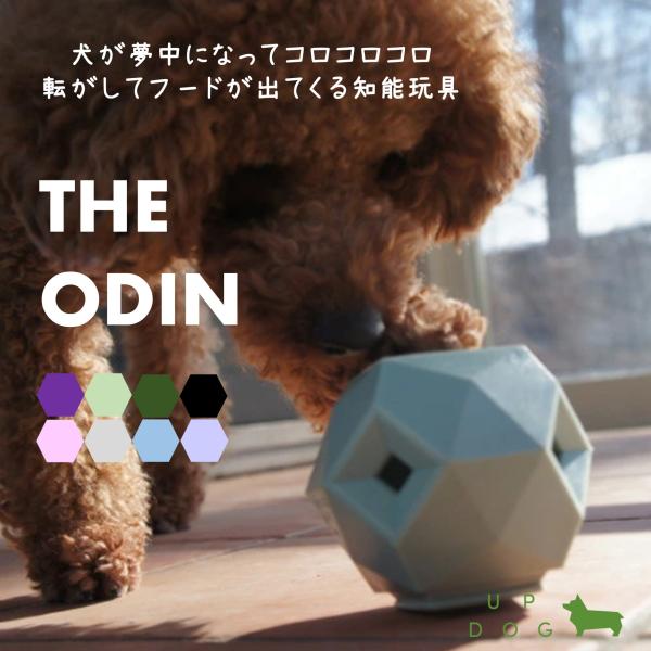 額装品/夢中にかぶりつく犬/シャロン ビールス BEAMS JAPAN (BEAMS JAPAN) [Special order] CHUGAI TOEN