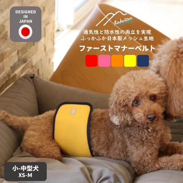 Hakusan]こんなマナーベルトが欲しかった【ファーストマナーベルト】XS