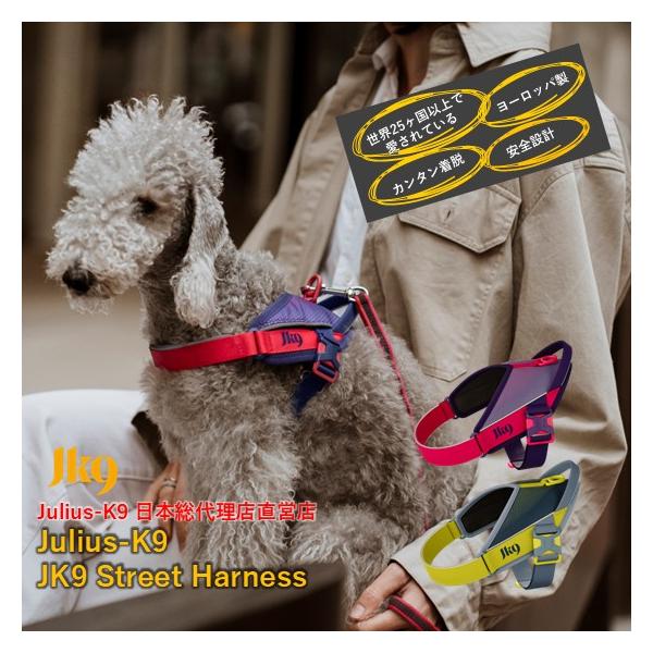 【希少性抜群】どんぎつね　6連番　フルコンプリートセット　PSA10 PSA9 希少性抜群】どんぎつね5連番コンプリートセットPSA10 PSA9