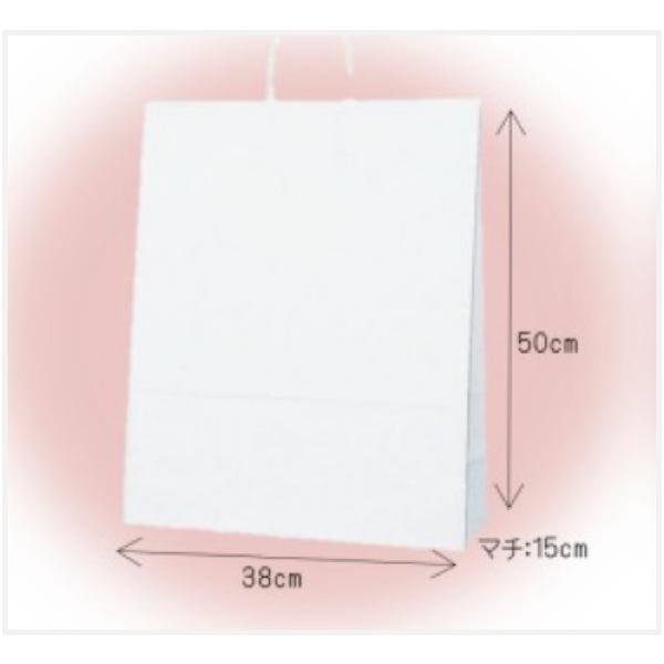 񂰎 n () 38×50×s15(cm)OS24562