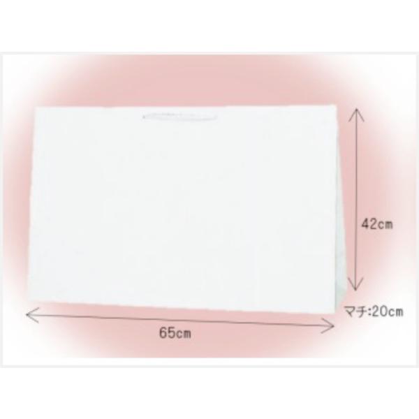 񂰎 n () 65×42×s20(cm)OS24563