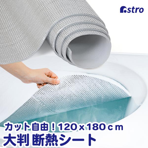 商品名:防寒シート 120×180cmカラー:シルバーサイズ:約120×180cm材質:アルミ蒸着シート・発泡ポリエチレン内容:1枚生産国:中国【特長】●保温効果のあるアルミで冷えるのを防ぐソフトな感触の防寒シート。●アルミ蒸着シート×発泡...