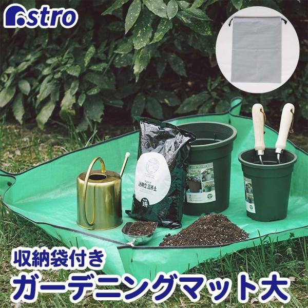 |V[g  [ܕt h h~  O[ K[fjO veBOV[g O[AXg 505-11