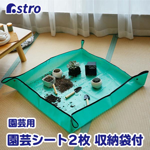 |V[g 2g(STCY×1EMTCY×1) [ܕt K[fjO}bg veBOV[g h ubN O[ AXg 505-15