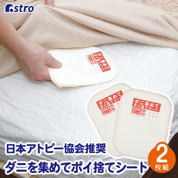 _jƂV[g 2g Cgx[W { ܕsgp S S u AXg 510-08