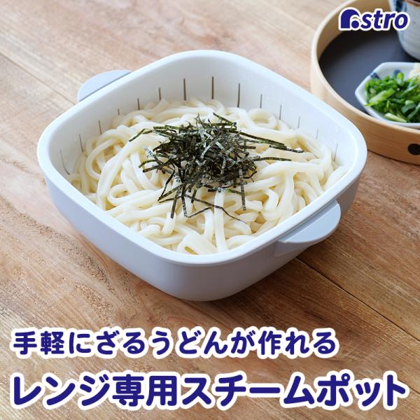 商品名:レンジでパパっと 2wayスチームポット レシピ付 SPTサイズ:約縦20×横23×高さ10.2cmカラー:グレー内容:1個容量:1.4L耐熱温度:140℃耐冷温度:-20℃材質:ポリプロピレン生産国:日本【加熱時間の目安(電子レン...