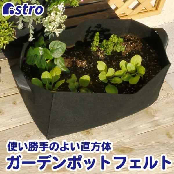 K[f|bg tFg lp ubN v^[  Jo[  y y ʋC | ƒ؉ AXg 520-14