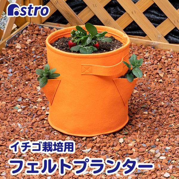 C`S͔|ptFgv^[ ~` IW OpJ sDz |bg K[f | obO t AXg 520-31