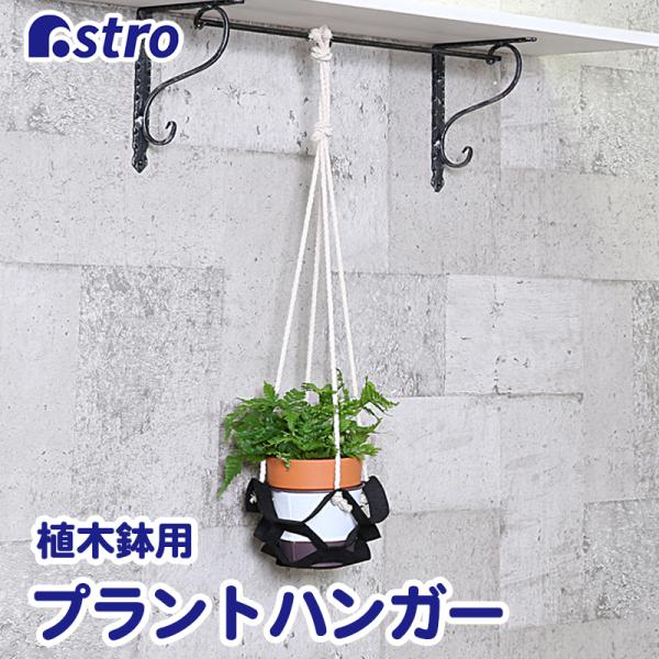 vgnK[ ubN v^[nK[ AnK[lbg Aؔ ݂艺 nLOoXPbg A CeA AXg 520-37