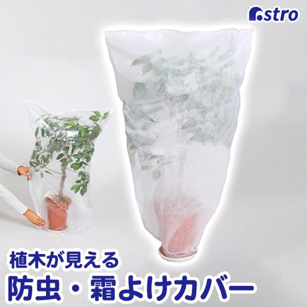 商品名:植木が見える 不織布防虫・霜よけカバー 5枚組サイズ:約幅58×高さ100cm内容:5枚材質:ポリプロピレン・ポリエチレン【特長】●上から被せるだけ。植木が見える透明×通気性の良い不織布製の保護カバー。●空気や光は通し植物を害虫や鳥...