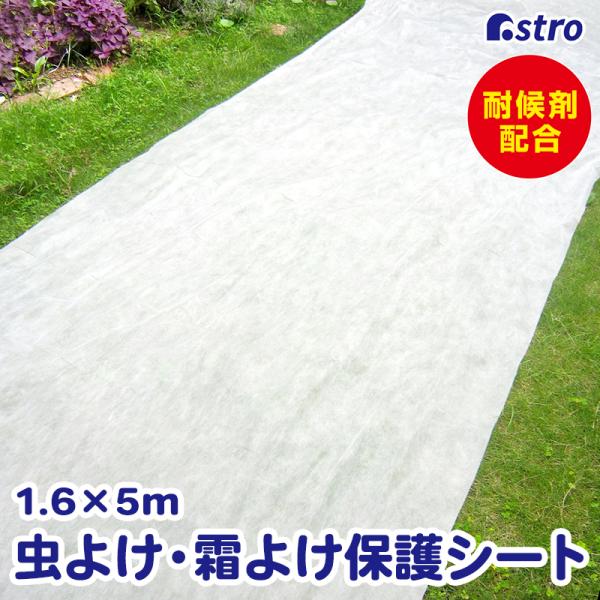アストロ公式 農業用不織布シート1.6×5m 園芸用 作物 保護シート マルチングシート 保温 被覆資材 霜よけ 防虫 防寒 保湿 ガーデニング 家庭菜園 520-43