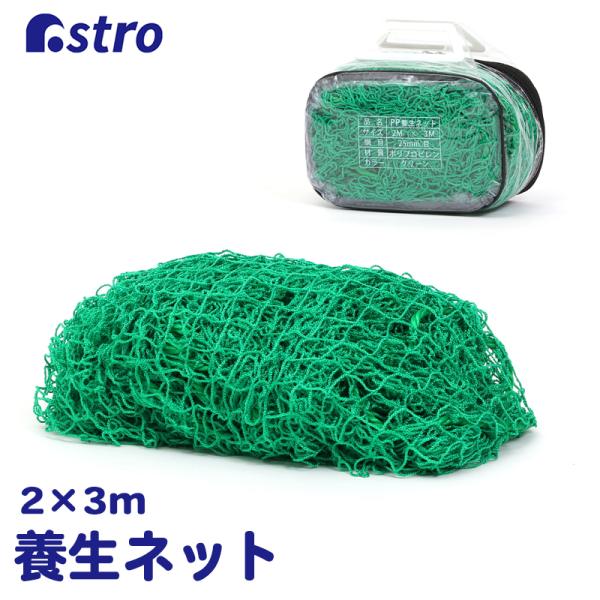 商品名:養生グリーンネット 2x3m ケース付カラー:グリーンサイズ:約幅2m×奥行3m、網目約2.5×2.5cm、紐約90cm、収納ケース約幅23.5×奥行11×高さ15.5cm材質:ポリプロピレン内容:1枚生産国:中国【特長】●畑や家庭...
