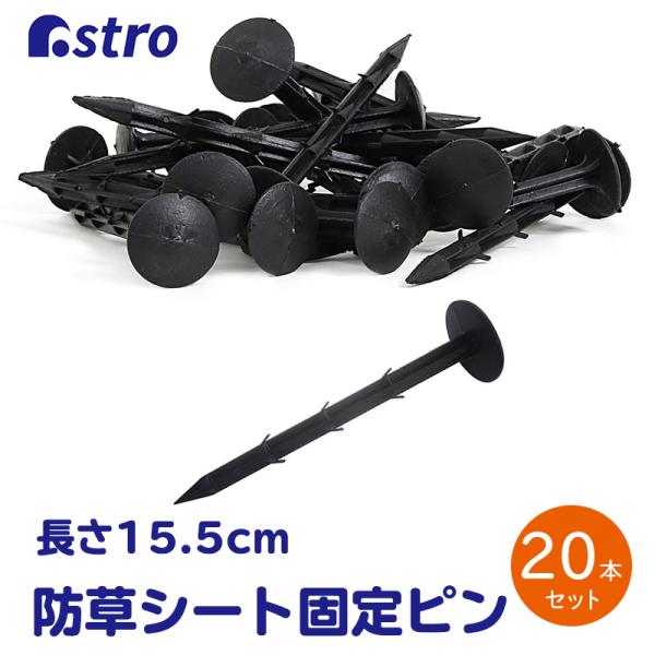 s 20{g ɂ KтȂ Œs hV[g V[g ubN Œp yO B |  K[fjO  _pV[g AXg 602-49