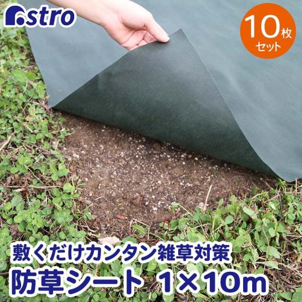 hV[g 1×10m 10Zbg _pV[g e  O[ sDz   ϋv | ƒ؉ AXg 602-54