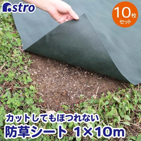 hV[g 1×10m 10Zbg O[ V[g sDz  UVόܔz  ͂ G΍ |p ƒ؉ _ AXg 602-55