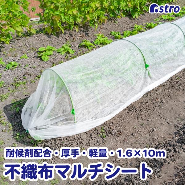 アストロ公式 園芸用不織布シート 1.6×10m 耐候剤配合 べたがけシート マルチングシート 防虫 霜除け 防寒カバー マルチシート ガーデニング ホワイト 602-99