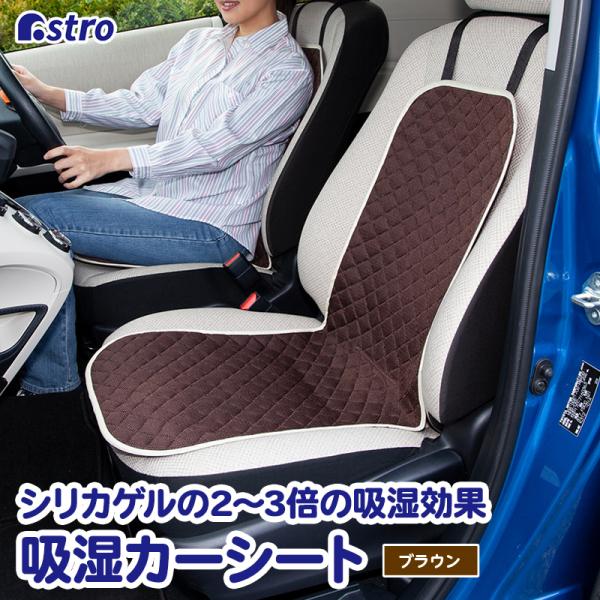 y݌ɌzJ[V[g uE bVn×sDz z hC  ȃV[g AXg 607-27