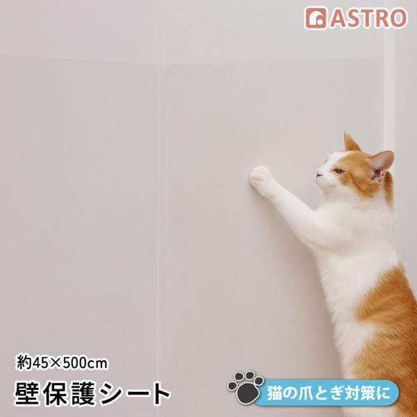 商品名:壁保護シート シールタイプ 45×500cmサイズ:約45×500cm内容:1本(枚)材質:本体/PVC、粘着剤/アクリル【特長】●室内の壁紙をキズや汚れなどから守るクリア(半透明)タイプの壁保護シート。●ペットのネコちゃんやワンち...