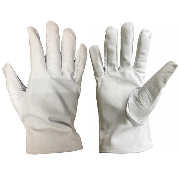 i10oZbgjv {v NXg iij