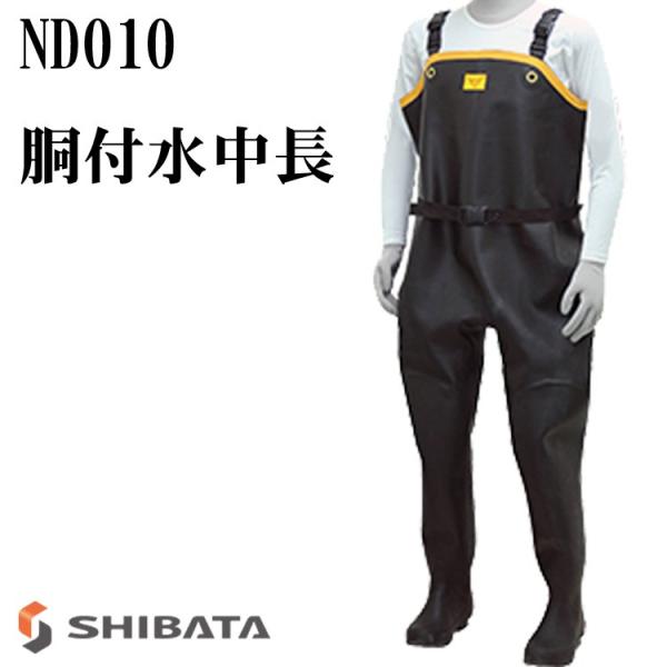 21248_shibata-nd010 21248_shibata-nd010