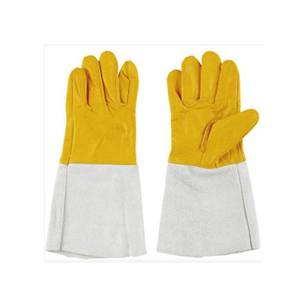 V v 122APN 5{w  nڗp }[NȂ {v Rr n