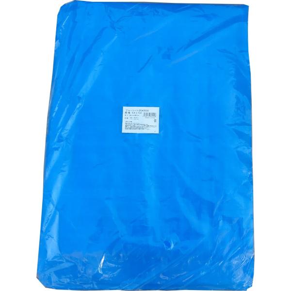 u[V[g  #3000 5.4 x 5.4 1