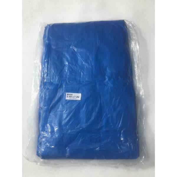 u[V[g  #3000 5.4 x 7.2 1