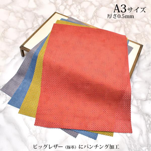 {v sbOXL ؊v ͂ A3TCY p`O XG[hH U[Ntg nM [v vޗ ܂nMt lR|X  No.807985