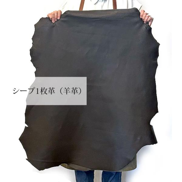 Molds アシモクラフト　asiパレ　38パレ Amazon.co.jp: 限定品MOLDS アシモクラフツ asiパレ