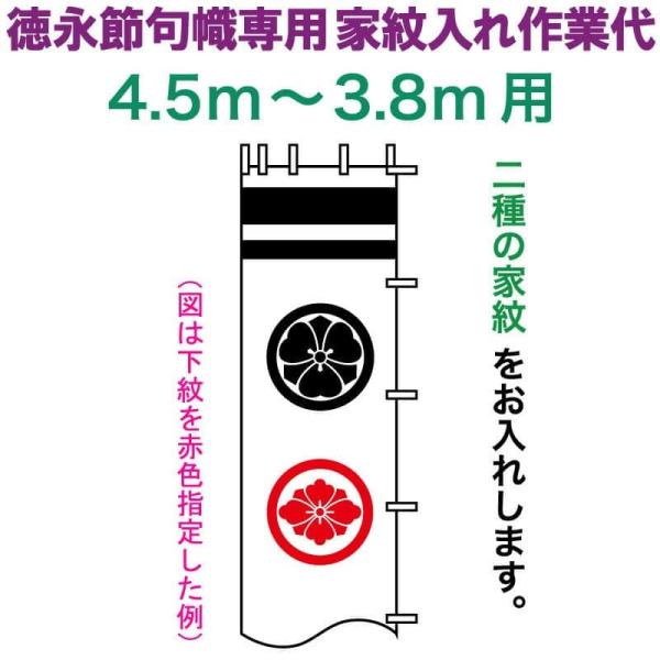 ҊĜڂ i қ 4.5`3.8mp Ɩ  ip ƖƑ toku-kamon-n2-45-38