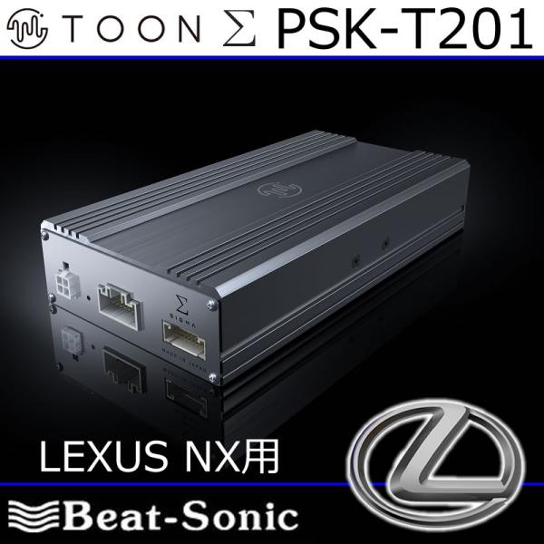 25hz-onlineshop_bs-dsp-psk-t201