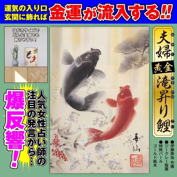 玄関 開運 絵画】玄関に飾れば金運アップ「夫婦黄金滝昇り鯉