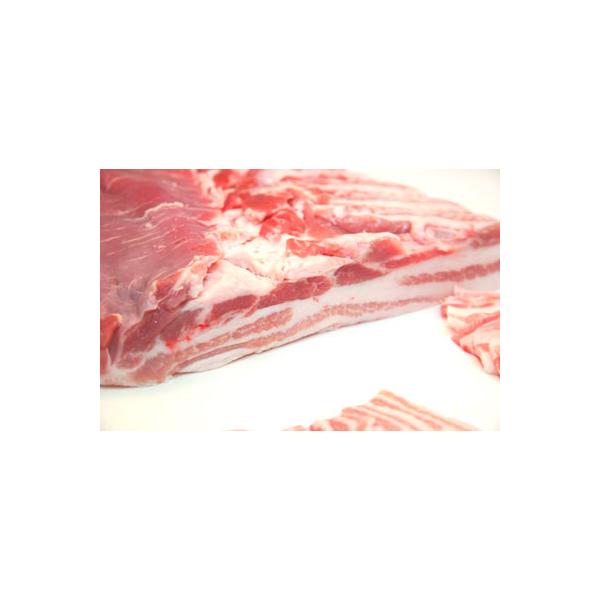 yʂ蔄zƖpkCY؃o1{ubNi1800~/kgj@ɂӂ