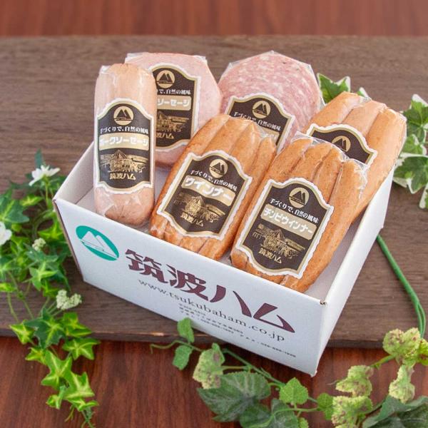 筑波ハム ソーセージ バラエティ パック 国産 茨城県 特産品 肉 おつまみ 家飲み 簡単 燻し くん製 特産品 ご自宅 2026 レアグルメ 母の日 父の日 中元